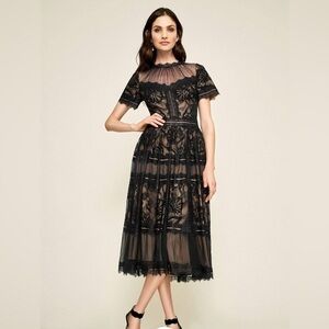 Tadashi iconic Camille tea length dress. BNWT size 10